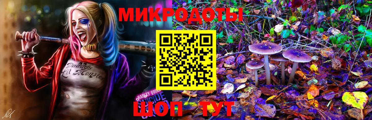 Псилоцибиновые грибы Cubensis  Псилоцибиновые грибы Magic Shrooms  Вход с VPN  Сланцы 